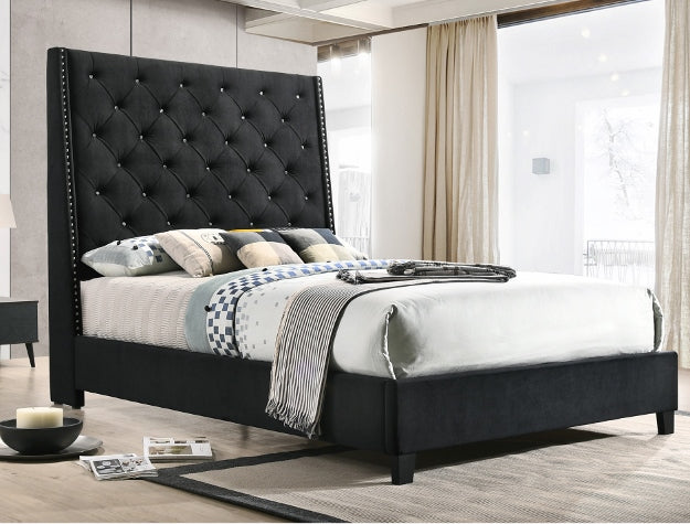 5265 CAMA CHANTILLY