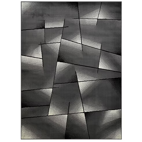 Contempo 41