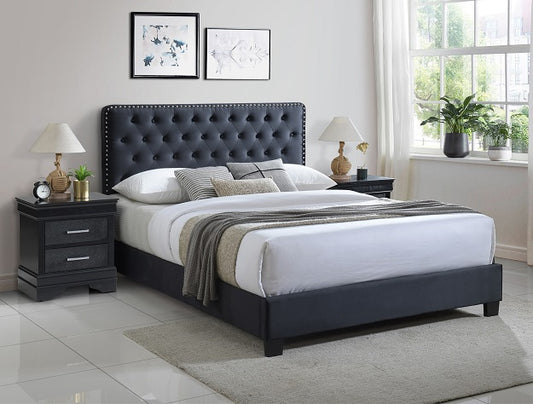 5091  EZRA BED