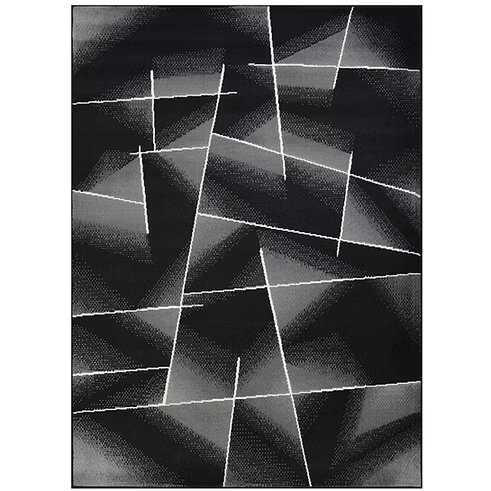 Contempo 41